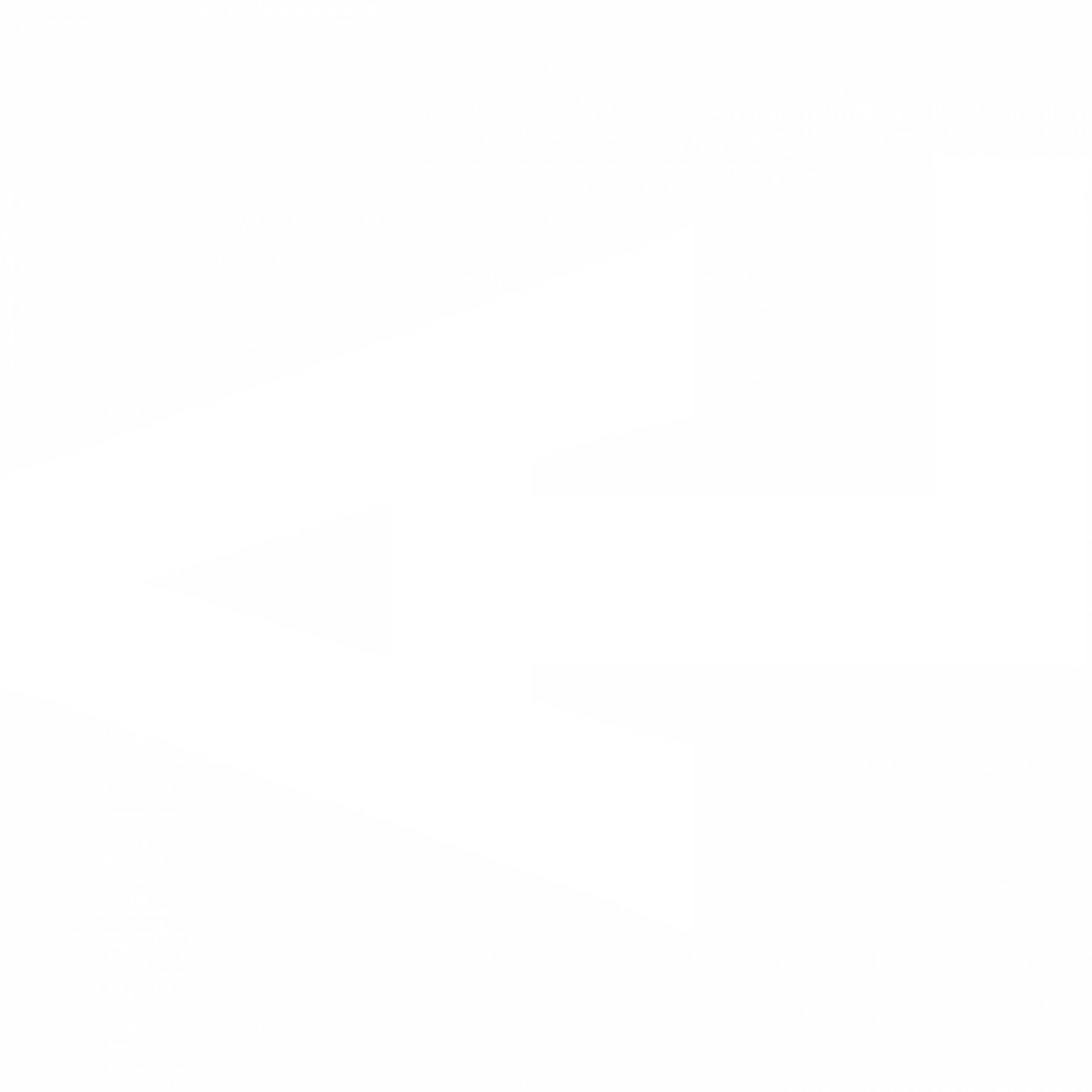 logo light